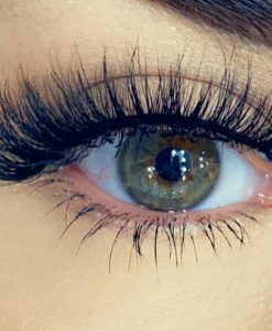 Elizabeth mink Lashes by VLAM Cosmetics